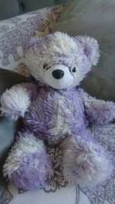 Soft Toys- Bears