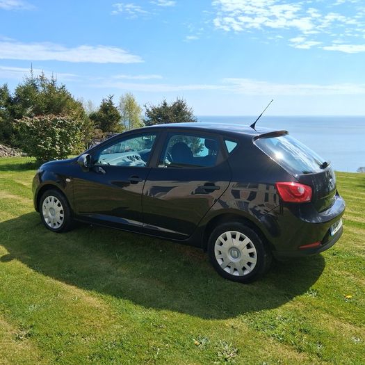2009 Seat Ibiza
