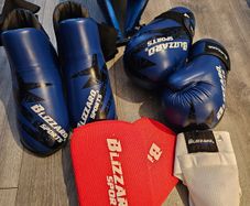 Taekwondo sparring equipment