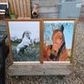 Large Vintage Equestrian Pictures Image 3