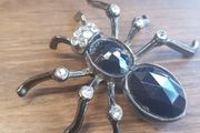 brooch