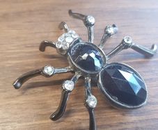 brooch
