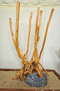 Stump Wood Size XXXL