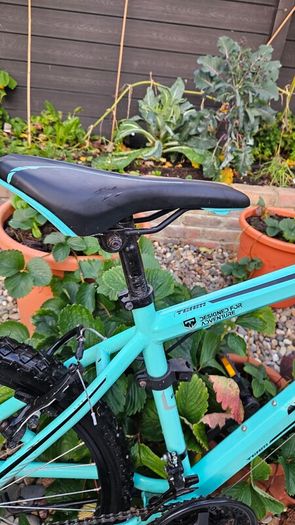 Team Kids Mountain Bike