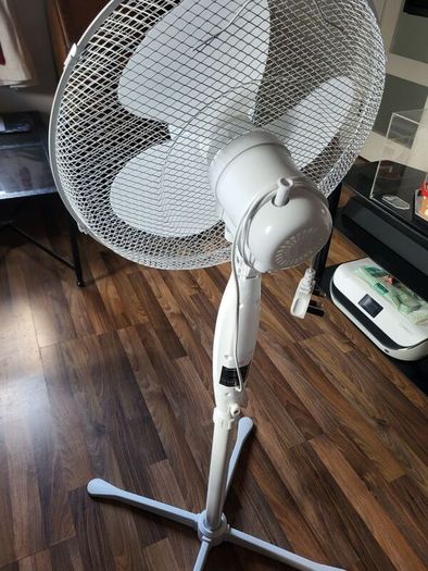 Blaupunkt Pedestal Fan