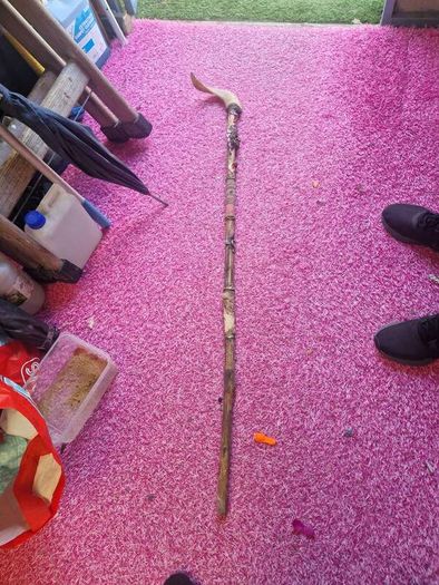 vintage walking stick