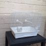 bird cage Image 2