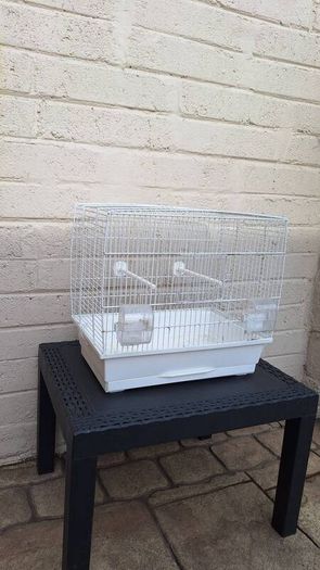 bird cage