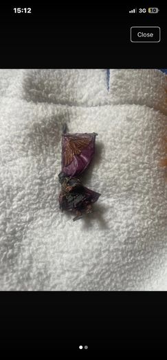 Rare Khazad dun banner barer metal