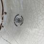 Vintage Decorative Plate/Bowl Image 5