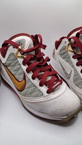 Nike le bron