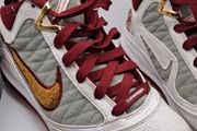 Nike le bron