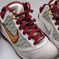 Nike le bron