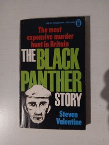 The Black Panther Story by Steven Valentine