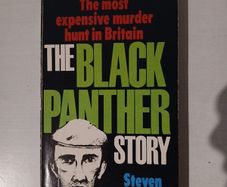 The Black Panther Story by Steven Valentine