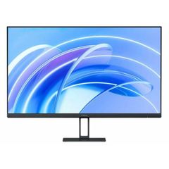 Computer Monitor
