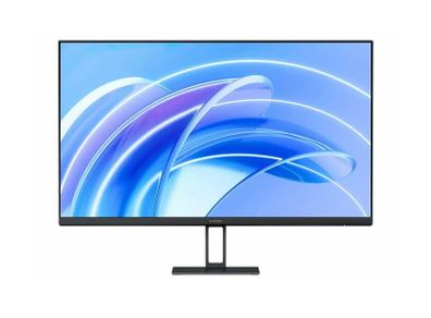 Computer Monitor
