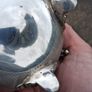 19th Century German Silver Teapot(Circa 1820) Image 10
