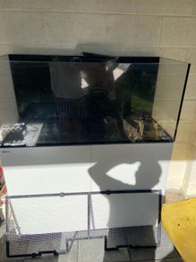 red sea reefer 350