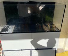 red sea reefer 350