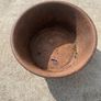 Antique Cast Iron horse drinker Image 2