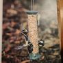 Garden Bird Behaviour. Robert Burton. How To Recognise And Everyday Bird Activities. First Edition Large Volume Paperback In Good Condition. Image 3