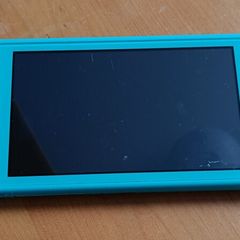 Nintendo Switch Lite + case