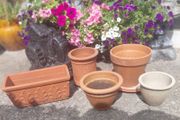 garden pots