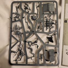 Games Workshop Warhammer Age of Sigmar Scriptor Mortis Nighthaunt