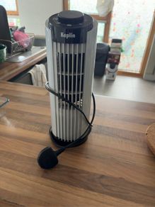 fan