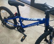 20 inch Bike , Blue Ridgeback Boys Bike