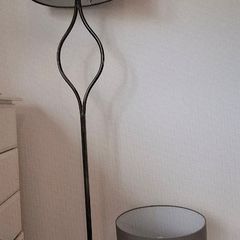 Floor and Table Lamp