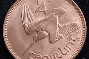 Ireland - 1959 - Farthing - 1/4d - Woodcock - KM.9 - ERROR e - [2708]