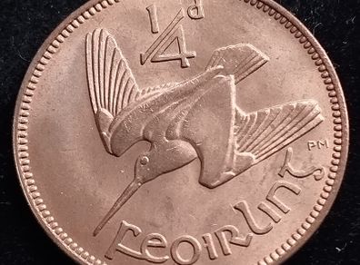 Ireland - 1959 - Farthing - 1/4d - Woodcock - KM.9 - ERROR e - [2708]