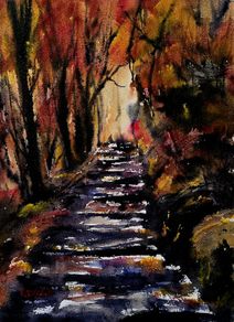 Killarney woodswatercolour