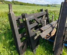 FREE pallets and wooden gate.