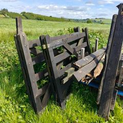 FREE pallets and wooden gate.