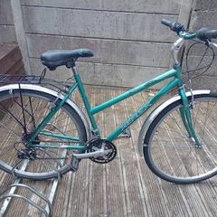 Ladies hybrid mountain bike.