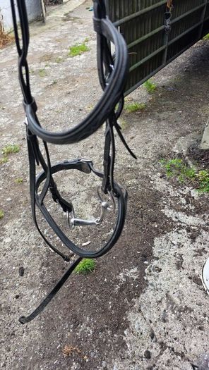 saddle 17 inch