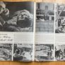 Life Magazine July 26 1943 Image 2