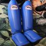 Twins boxing gloves Image 8