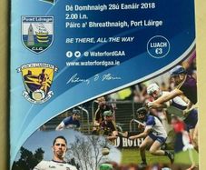 2018 Waterford v Wexford - GAA Allianz Hurling League Programme