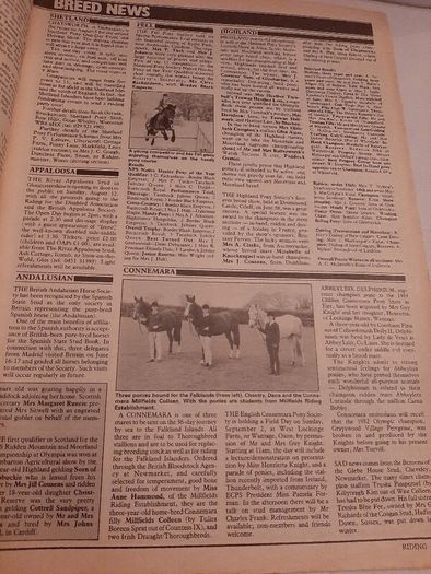old 1984 Olympic special horse magazine