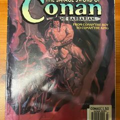Comic: 'The Savage Sword Of Conan The Barbarian' no. 227