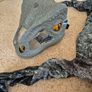 Velociraptor Costume Image 4