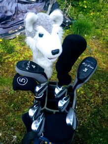 Set of Ladies Golf Clubs