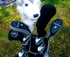 Set of Ladies Golf Clubs