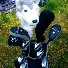Set of Ladies Golf Clubs