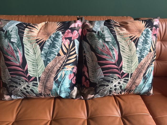 Cushions x 2