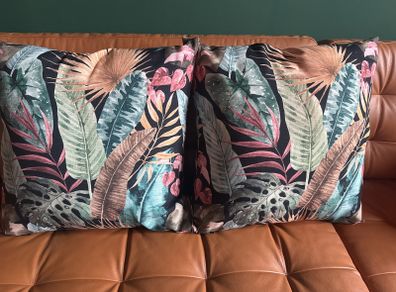 Cushions x 2